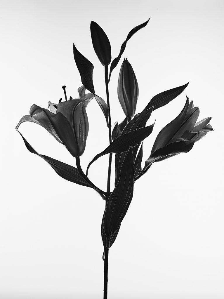 Where is my Mind Grayson Hoffman Photography